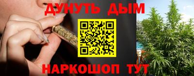 амф Дубна